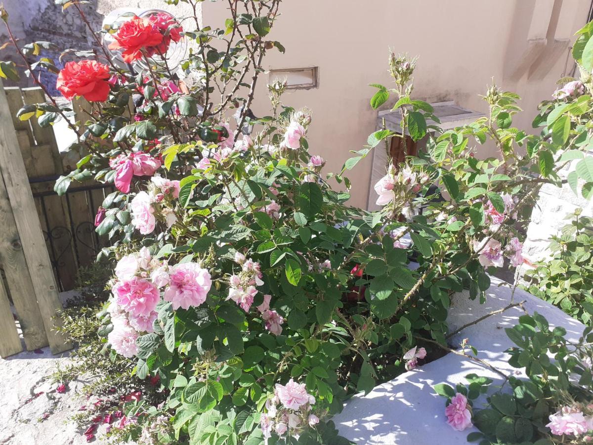 Mini Room In Old Town 카발라 외부 사진